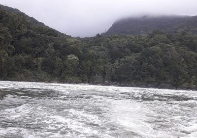 Trilha Travessia Juréia x Itatins 09